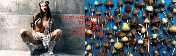 кокаин премиум Богданович