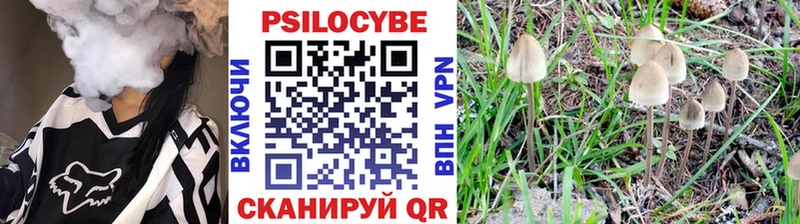 Галлюциногенные грибы мицелий  mega как войти  Кущёвская 